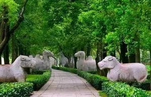 南京有哪些地方值得摄影师去拍照?