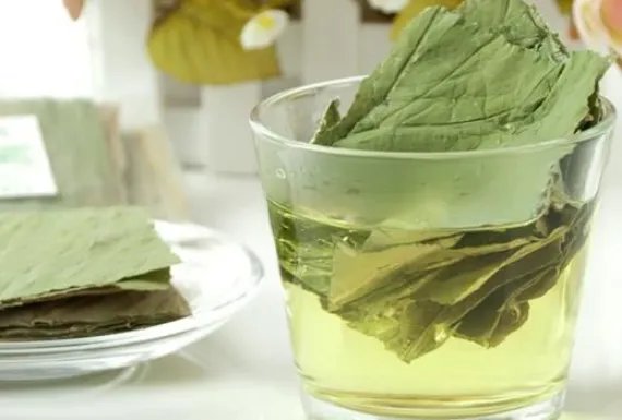 干荷叶茶是寒性的,要与什么一起饮用