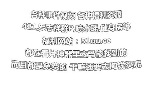 有421页pdf网盘吗？