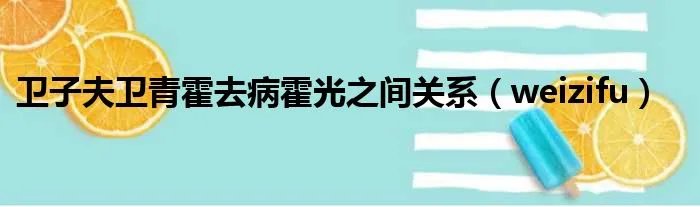 卫子夫卫青霍去病霍光之间关系（weizifu）
