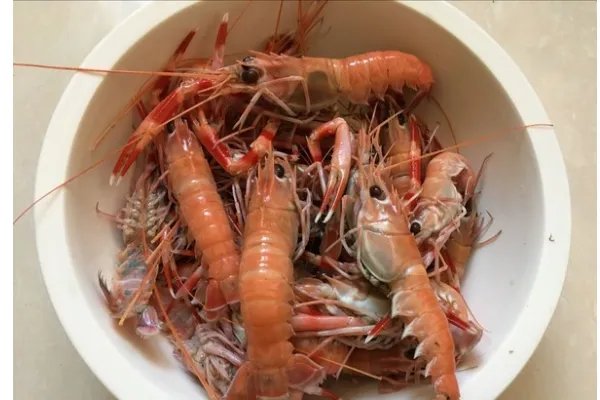 海龙的食用方法