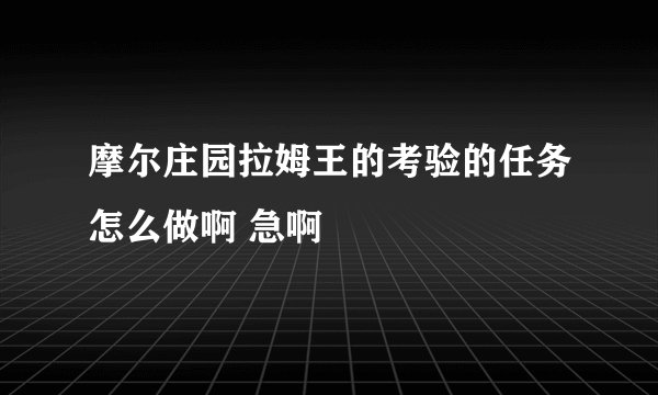 摩尔庄园拉姆王的考验的任务怎么做啊 急啊