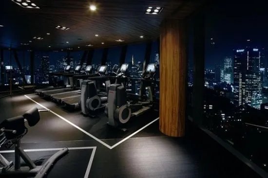 日本最贵的亿元顶层公寓内部照