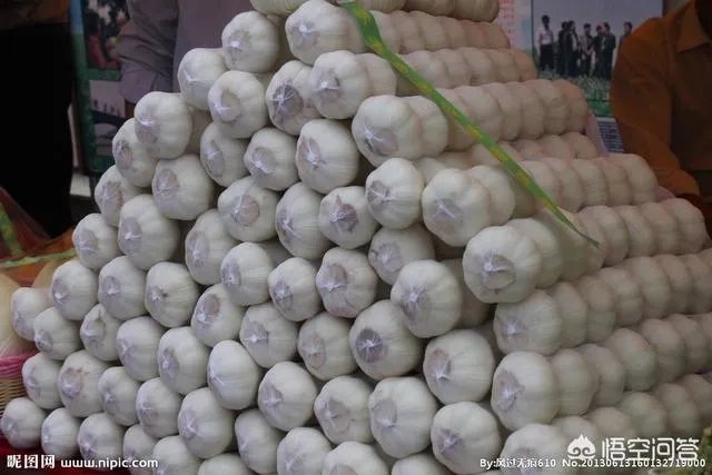 2018年的大蒜到底是会涨价还是会掉价？