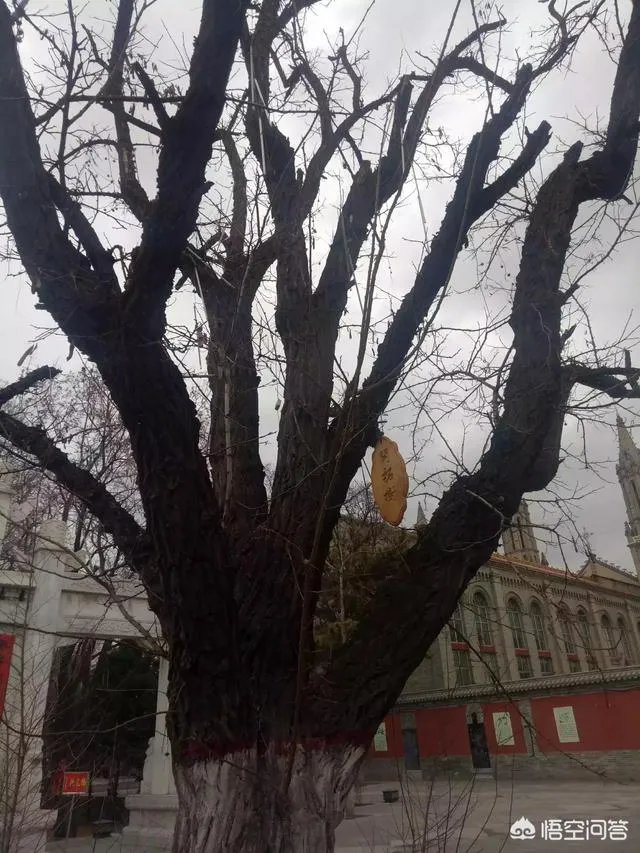 河南省清丰县房价已超过五千了,是合理价位还是非理性的炒作?现在入手合适吗?