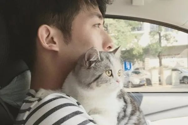 网红阿沁刘阳分手!曾经的模范夫妻为何如今却凉凉?