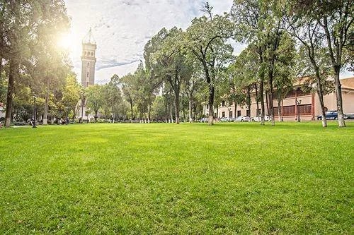 2022年新乡医学院三全学院录取分数线