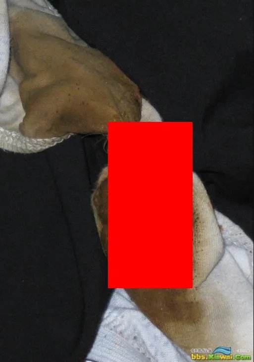 米国内裤图片：米国内裤是啥意思（图）