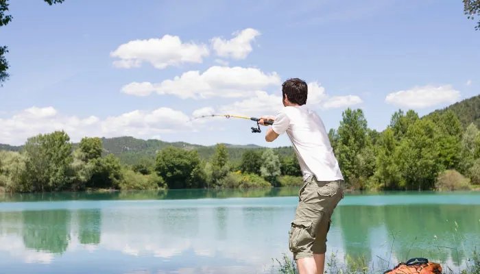 接吻鱼吃什么 接吻鱼怎么饲养