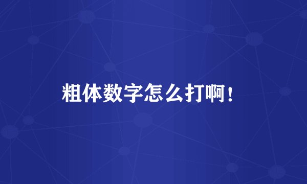 粗体数字怎么打啊！