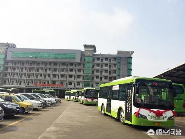 你眼中的龙岩人有什么特点?