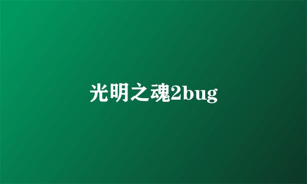 光明之魂2bug