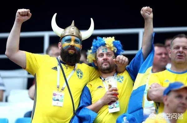 如何看待瑞典对战韩国的比赛？