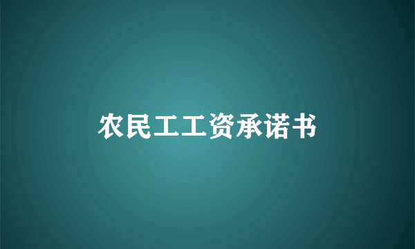 农民工工资承诺书
