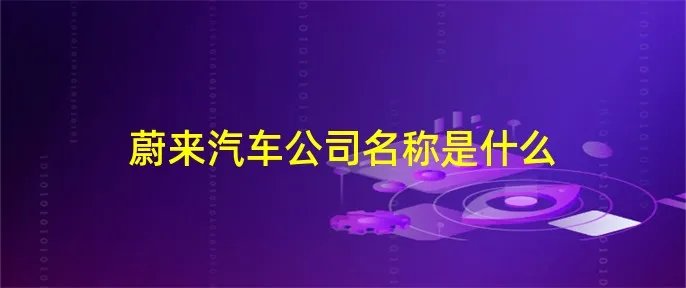 蔚来汽车公司名称是什么
