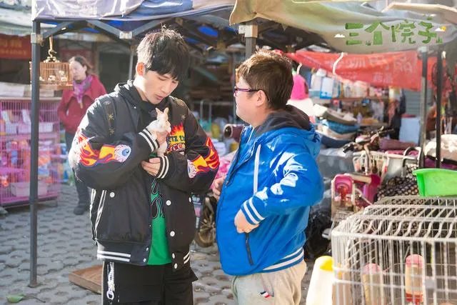 如何评价《三个院子》这部综艺？