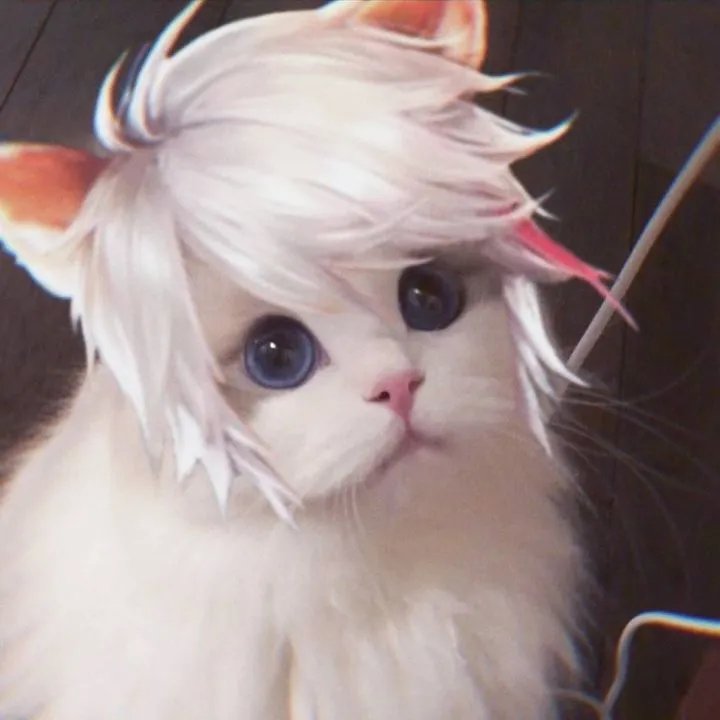 《王者荣耀》猫咪接头头像大全