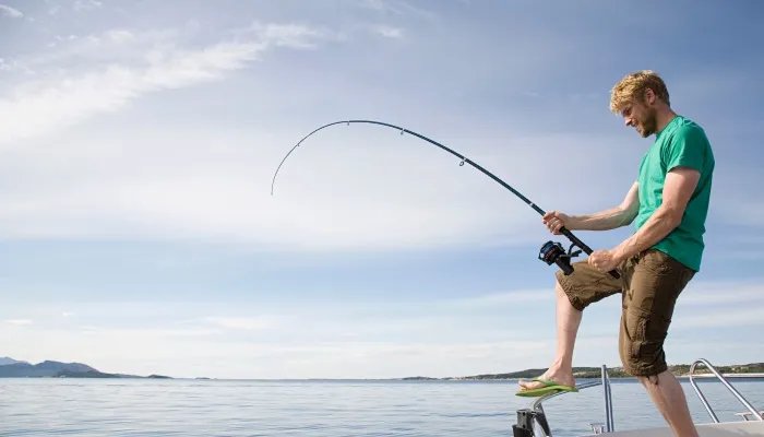 糊里糊涂打一生肖 哪些生肖做事情不靠谱