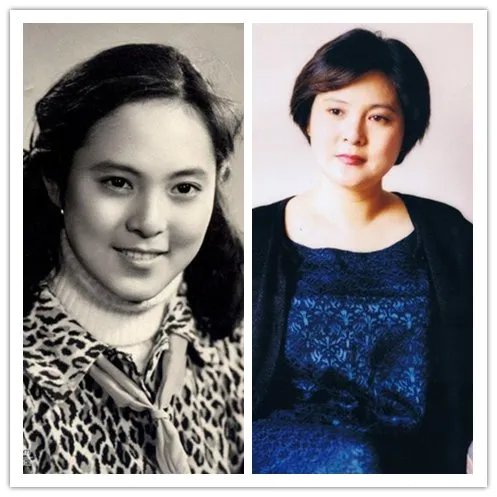 被郭凯敏称赞“好女人”的张芝华，现状如何？