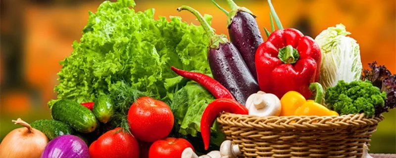 香菜产地 香菜产地在什么地方