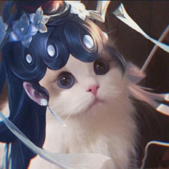 《王者荣耀》猫咪接头头像大全