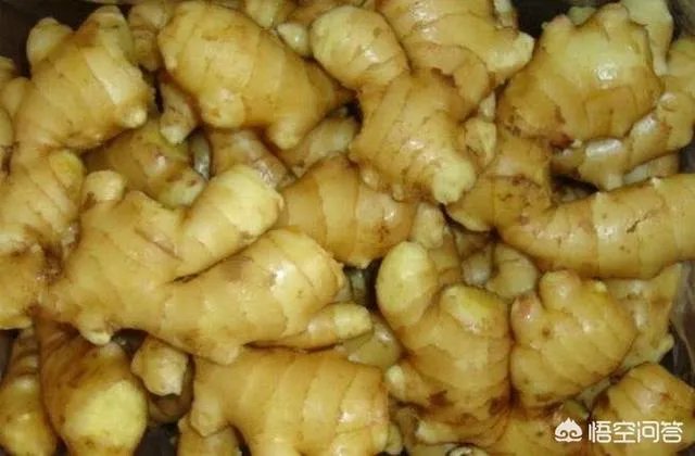 山西阳曲县的老咸菜怎么做？