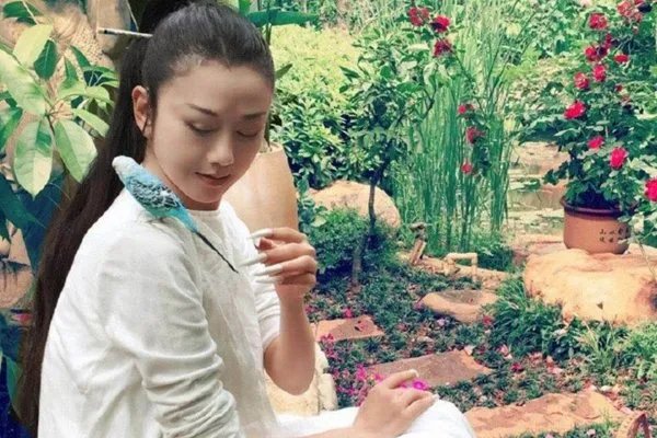 杨丽萍不生孩子，真的有错吗？