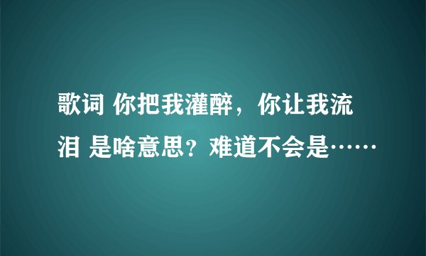 歌词 你把我灌醉，你让我流泪 是啥意思？难道不会是……