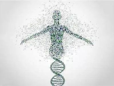 诺贝尔医学奖发现“熬夜令人变丑变笨”,你还敢晚睡吗?