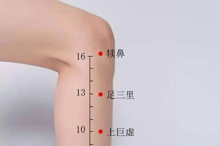 长寿点的准确位置