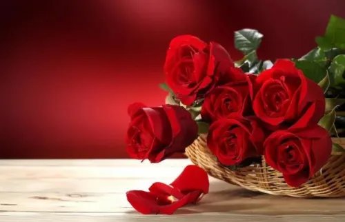 情人节送花送什么 第一次送花说些什么好呢