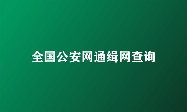 全国公安网通缉网查询