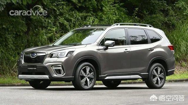 斯巴鲁森林人？