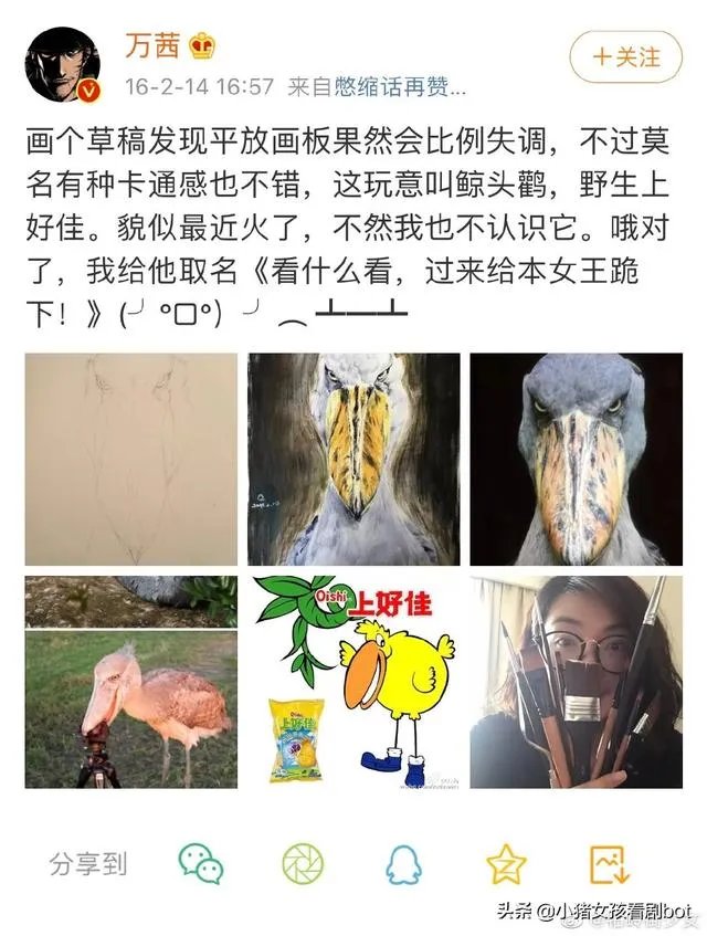 《乘风破浪的姐姐里面，为什么万茜那么受女明星的欢迎？