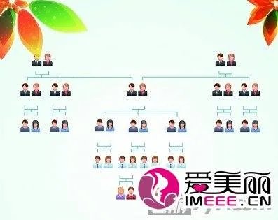中国人亲戚关系图表的亲属方面