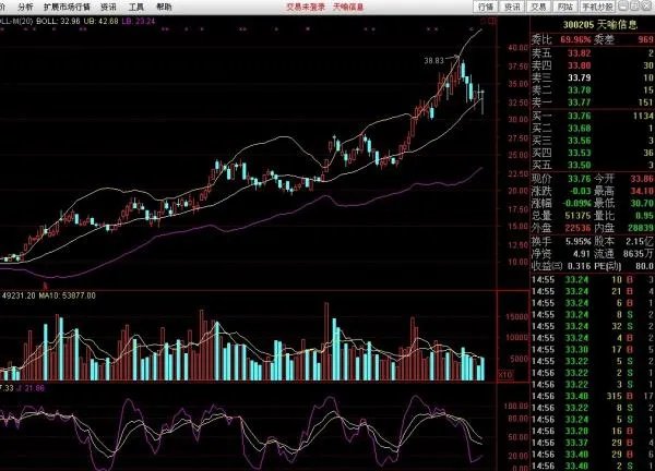 请人帮我分析一下天喻信息（300205）这只股票，要详细的。谢谢了