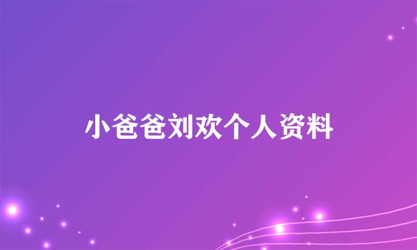 小爸爸刘欢个人资料