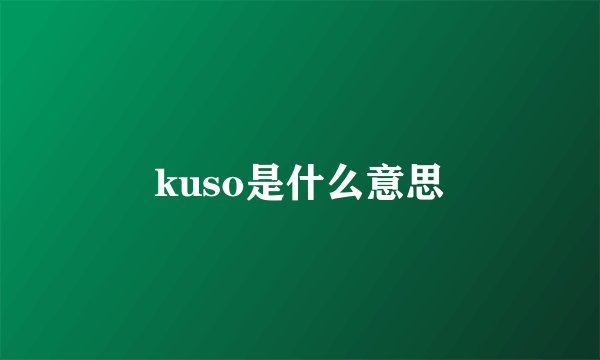kuso是什么意思