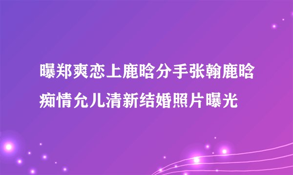曝郑爽恋上鹿晗分手张翰鹿晗痴情允儿清新结婚照片曝光
