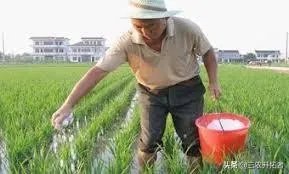 网购农产品和当地市场买有啥区别？