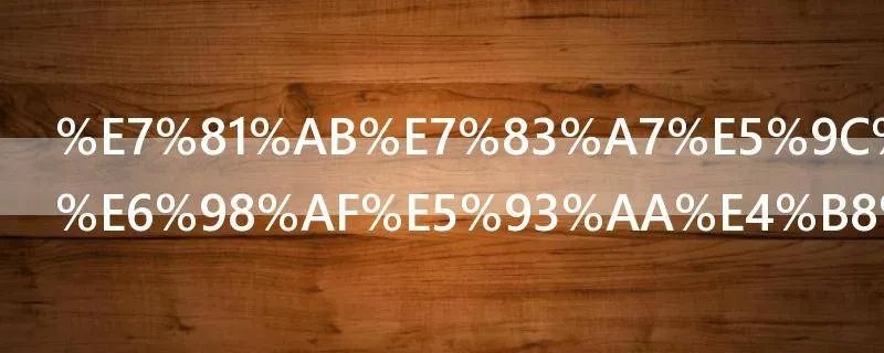 火烧圆明园是哪一天结束的