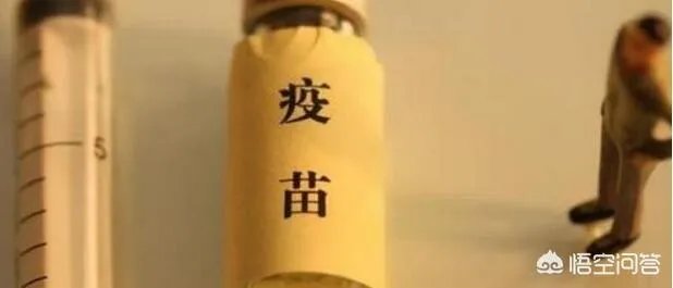 长生生物两疫苗“爆”掉百亿市值，这次疫苗事件后长生生物会倒闭吗？