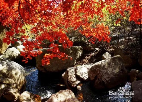 关门山旅游攻略