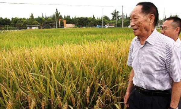 袁隆平90大寿是怎么举办的?