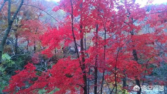 国庆最适合旅游的地方都有哪些？