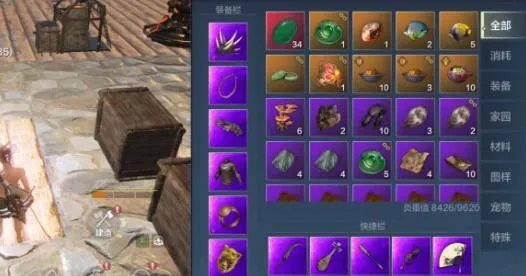 妄想山海千年宠物排行一览