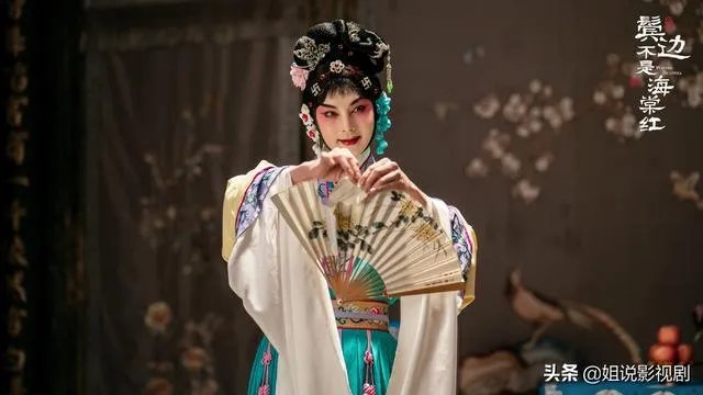 《鬓边不是海棠红》小说讲的什么？