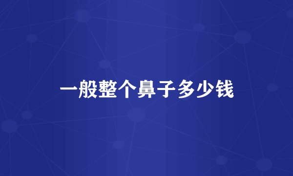 一般整个鼻子多少钱