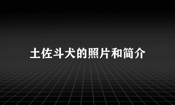 土佐斗犬的照片和简介
