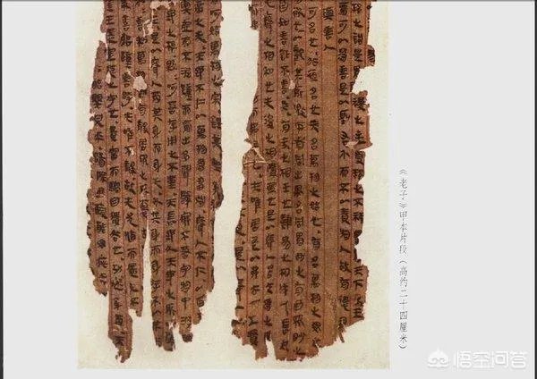 文若愚和陈鼓应